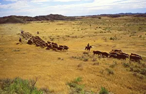 Farmers: Roundup