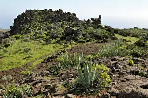 Gomera: On route above Playa de Santiago