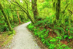 Polynesia: The Routeburn Track, Fiordland National Park, South Island