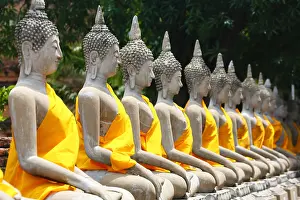 Chai: Row of Buddha statues at Wat Yai Chaimongkol Temple