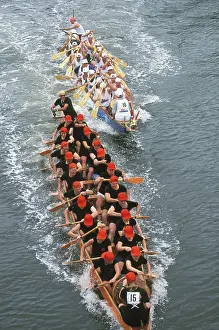 Rowing: Rowers - Moomba Festival: dragon boat races