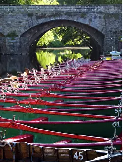 200617: Rowing Boats Moored by High Bridge on the River