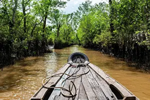 Rowing: Rowing through a small water channel, Cai Be, Mekong