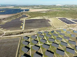 Rows: Rows of solar panels at a photovoltaic plant and