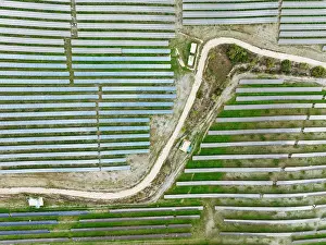 Rows: Rows of solar panels at the photovoltaic plant of