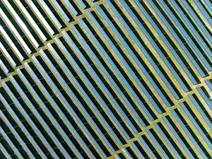 Rows: Rows of solar panels at a photovoltaic plant near