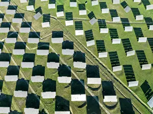 Energy: Rows of solar panels at a photovoltaic plant near