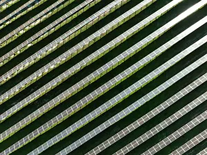 Energy: Rows of solar panels at a photovoltaic plant near