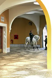 Trainer: The Royal Andalusian School of Equestrian Art (The