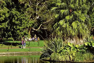 Botanic: Royal Botanic Gardens central pond Sydney
