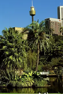 Botanic: Royal Botanic Gardens central ponds with city and