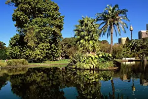 Botanic: Royal Botanic Gardens with city and Sydney Tower