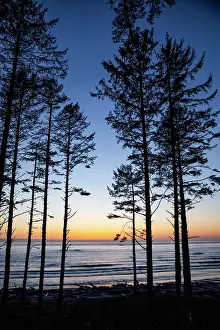 Olympic: Ruby Beach, Forks, Washington State, USA. Olympic