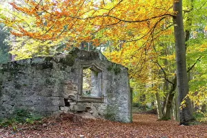 Barbara: Ruin of the Barbara Chapel, Dippoldiswalder Heide
