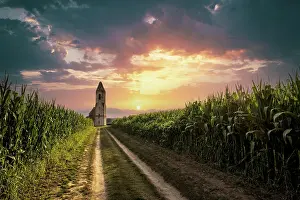 Decayed: Ruin of a church in a cornfield. Old catholic church