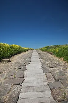 Pathway: Ruins of ancient Phoenician city, Cardus