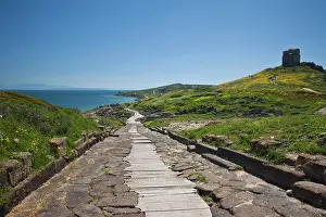 Walkway: Ruins of ancient Phoenician city, Cardus