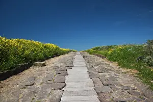 Walkway: Ruins of ancient Phoenician city, Cardus