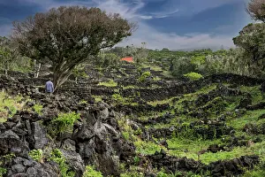 Fire: Ruins after volcanic eruption Faial Island Azores