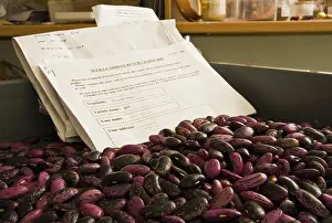 Collected: Runnerbean