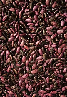 Collected: Runnerbean