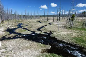 Midway: Runoff Water - from hot springs and dead trees Midway