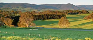 Melbourne: Rural landscape with Kinglake National Park beyond