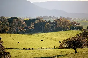 Melbourne: Rural landscape with Kinglake National Park beyond