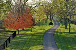 Kentucky: Rural road through Bluegrass region of Kentucky