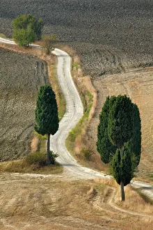 Pienza: Rural road across harvested field, near