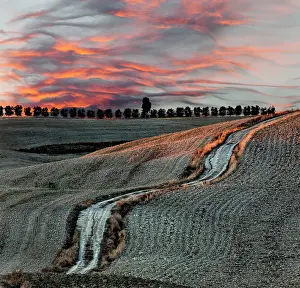 D Orcia: Rural road and harvested fields at sunset