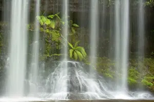 Veil: Russell Falls - detail of the falling water veil