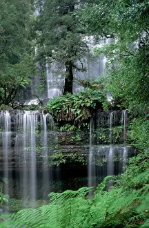 Auscape - Named Photographers: Russell Falls - Mount Field National Park, Tasmania