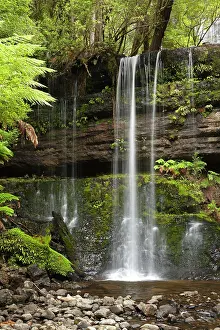 Derwent: Russell Falls, Mount Field National Park