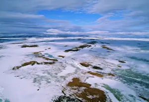 Kara: RUSSIA - Arctic tundra, melting snows, tundra of