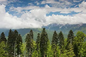 Release: Russia, Caucasus Mountains, Sochi Area