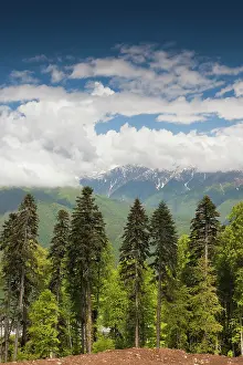 Olympic: Russia, Caucasus Mountains, Sochi Area