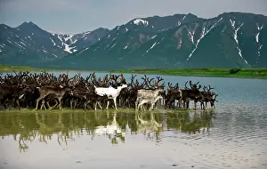 Inuit: Russia, Kamchatka Peninsula, Russian Far
