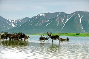 Inuit: Russia, Kamchatka Peninsula, Russian Far