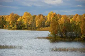 Engelbrecht: Russia, Karelia, Lake Onega shoreline, RESTRICTED: