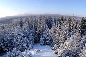 Midwinter: Russia; midwinter, December. The view is towards
