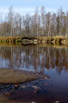 Desmana: Russian Desman - habitat