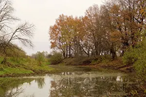 Moschata: Russian Desman - typical habitat