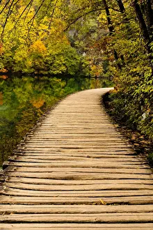 Dalmatia: a rustic wooden boardwalk leading along the shores