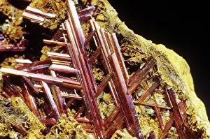 Reticulated: Rutile from Boiling Springs, North Carolina