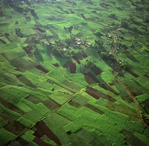 2003: Rwanda - Aerial view of Africa, Intensive agriculture