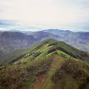 Encroachment: Rwanda - Africa, Intensive agriculture on Virunga