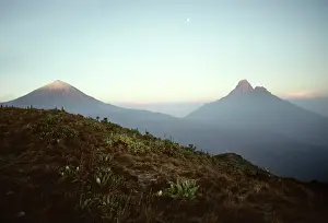 Virunga: RWANDA - VIRUNGA VOLCANOES, Karisimbi & Mikeno