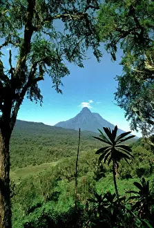 Virunga: Rwanda - Virunga Volcanoes, Mount Mikeno