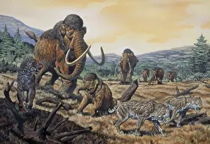 Mammoth: Saber-Toothed Cat